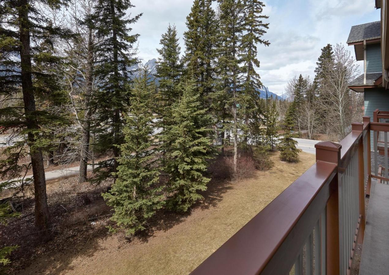 Newly Renovated Grizzly Lodge, Spacious 3Br 2Ba With Open Pool, Hot Tub كانمور المظهر الخارجي الصورة