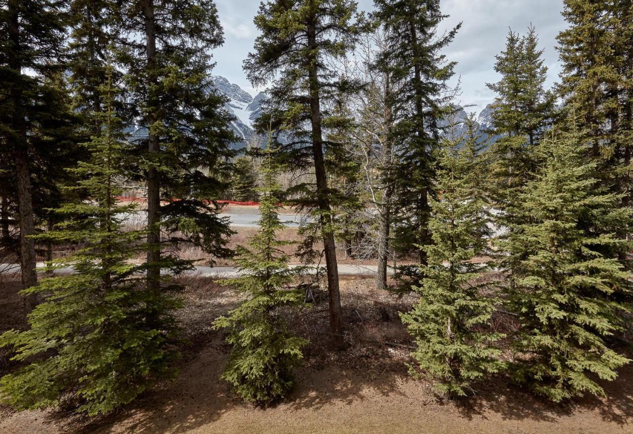Newly Renovated Grizzly Lodge, Spacious 3Br 2Ba With Open Pool, Hot Tub كانمور المظهر الخارجي الصورة